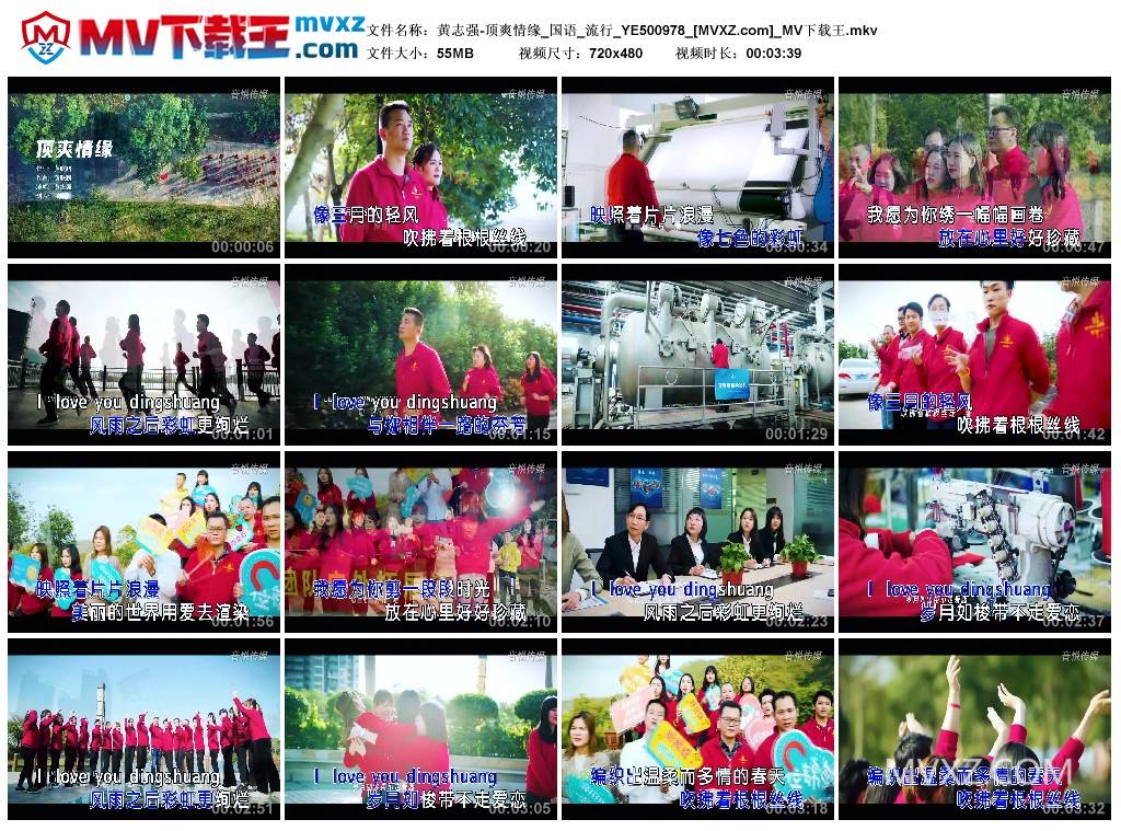 黄志强-顶爽情缘_国语_流行_YE500978